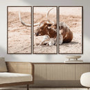 Texas Longhorn Wall Art Canvas Print – Framed Resting Bull by MyGreatCanvas | Canvas Wall Art Prints | Photo Prints & Wall Decor