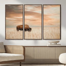 MyCanvas -