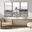 White Horse Wall Art Canvas Print – Framed Woman Rider