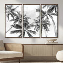 Black and White Palm Wall Art Canvas Print – Framed