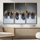 Bison Herd Wall Art Canvas Print, Framed Rustic Wildlife by MyGreatCanvas | Canvas Wall Art Prints | Photo Prints & Wall Decor