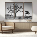 Joshua Tree Wall Art Canvas Print – Framed Monochrome Desert