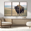 Bison Wall Art Canvas Print – Framed Buffalo American Bison