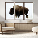 Bison Wall Art Canvas Print – Framed Western Wildlife
