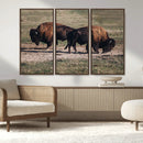 Bison Wall Art Canvas Print – Framed Western Wildlife Modern by MyGreatCanvas | Canvas Wall Art Prints | Photo Prints & Wall Decor