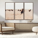 Bison Herd Wall Art Canvas Print – Framed Western Prairie