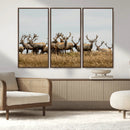 Elk Herd Wall Art Canvas Print – Framed Wildlife Photography