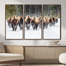 American Bison Herd Wall Art Canvas Print – Powerful Winter by MyGreatCanvas | Canvas Wall Art Prints | Photo Prints & Wall Decor