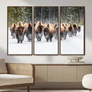 Bison Herd Scene Wall Art Canvas Print – Framed Western by MyGreatCanvas | Canvas Wall Art Prints | Photo Prints & Wall Decor