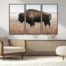 American Bison Wall Art Canvas Print – Majestic Buffalo