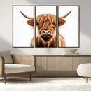 Scottish Highland Cow Canvas Print, Framed Highland Cow