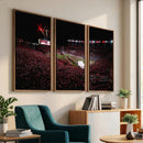 William Brice Stadium Wall Art Print – Baseball Game Room