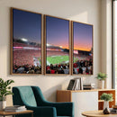 Dooley Stadium Wall Art, Sports Arena Canvas Print, Dooley