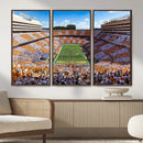 Tennessee Neyland Stadium Wall Art, Sports Arena Canvas by MyGreatCanvas | Canvas Wall Art Prints | Photo Prints & Wall Decor
