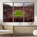 Tennessee Neyland Stadium Wall Art, Sports Arena Canvas by MyGreatCanvas | Canvas Wall Art Prints | Photo Prints & Wall Decor