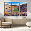 Tennessee Neyland Stadium Wall Art, Sports Arena Canvas by MyGreatCanvas | Canvas Wall Art Prints | Photo Prints & Wall Decor