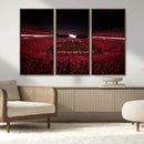 Dooley Stadium Wall Art, Sports Arena Canvas Print, Dooley by MyGreatCanvas | Canvas Wall Art Prints | Photo Prints & Wall Decor