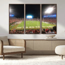 Dooley Stadium Wall Art, Sports Arena Panoramic Canvas by MyGreatCanvas | Canvas Wall Art Prints | Photo Prints & Wall Decor
