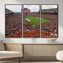 Jordan-Hare Stadium Wall Art Canvas Print, College Sports by MyGreatCanvas | Canvas Wall Art Prints | Photo Prints & Wall Decor