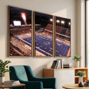 Boise State Broncos Albertsons Stadium Wall Art Canvas Print