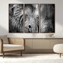 Wild Old Elephant Wall Art Canvas Print