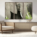 Wild Elephant Wall Art Canvas Print by MyGreatCanvas | Canvas Wall Art Prints | Photo Prints & Wall Decor