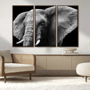 Big Elephant Close Up Wall Art Canvas Print