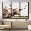 Texas Catle Longhorn Wall Art Canvas Print for Farmhouse by MyGreatCanvas | Canvas Wall Art Prints | Photo Prints & Wall Decor