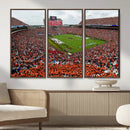 Auburn Stadium Wall Art Canvas Print, Jordan Hare Stadium by MyGreatCanvas | Canvas Wall Art Prints | Photo Prints & Wall Decor