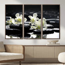 Plumeria Frangipani Black Stone Canvas | White Flower Spa by MyGreatCanvas | Canvas Wall Art Prints | Photo Prints & Wall Decor