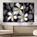 Plumeria Frangipani Black Stone Canvas | White Flower Spa by MyGreatCanvas | Canvas Wall Art Prints | Photo Prints & Wall Decor