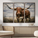 Texas Longhorn Canvas Wall Art Western Bull Desert Moody by MyGreatCanvas | Canvas Wall Art Prints | Photo Prints & Wall Decor