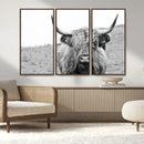 Newfoundland Cow Art Wall Art, Black White Cow Art Wall Art
