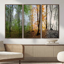 Four Seasons Wall Art Forest Canvas Print – Triptych