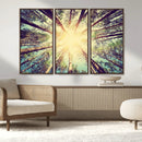 Tree and Sunshine Canvas Print