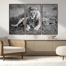 King Forest Lion Wall Art Canvas Print – Framed Majestic by MyGreatCanvas | Canvas Wall Art Prints | Photo Prints & Wall Decor