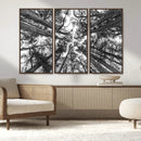 Trees Contemporary Art Canvas Print by MyGreatCanvas | Canvas Wall Art Prints | Photo Prints & Wall Decor