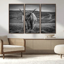 Fluffy Cattle Wall Art Print, Highland Cow Canvas, Framed by MyGreatCanvas | Canvas Wall Art Prints | Photo Prints & Wall Decor