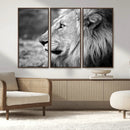 Lion Wall Art Canvas Print – Framed Majestic Wildlife by MyGreatCanvas | Canvas Wall Art Prints | Photo Prints & Wall Decor