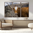 Texas Longhorn Canvas Wall Art - Longhorn Steer Canvas Wall