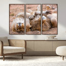 Lion Pair Wall Art Canvas Print – Framed Wildlife Scene with