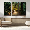 Sunlit Forest Pathway Canvas Print | 3 Panel Large Nature by MyGreatCanvas | Canvas Wall Art Prints | Photo Prints & Wall Decor