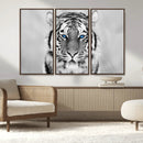 Tiger Canvas Artwork Wall Art Print