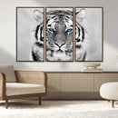 Black and White Tiger Wall Art Animal Canvas Print