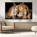 Lion and Lioness Wall Art Canvas Print – Framed African