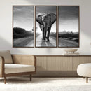 Black and White Elephant Wall Art Canvas Print