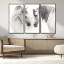 White Horse Wall Art Animal Canvas Print by MyGreatCanvas | Canvas Wall Art Prints | Photo Prints & Wall Decor