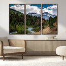 San Juan Nal Forest Wall Art Landscape Canvas Print