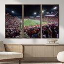 Washington-Grizzly Stadium Canvas Print, American Football