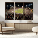 Washington-Grizzly Stadium Canvas Print, American Football